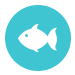 Tradewinds Tackle Shop Fishing Reports