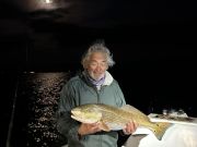 Gecko Sportfishing, Good Days Recently