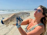 Tradewinds Tackle Shop, Beautiful Slot Red Drum