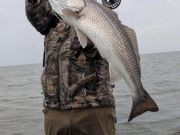 Tradewinds Tackle Shop, Nice Fish on Fly Rods