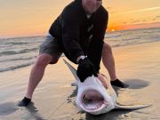 Tradewinds Tackle Shop, Impressive Numbers