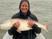 Tradewinds Tackle Shop, Drum in Ocracoke