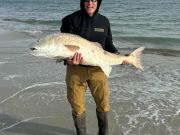 Tradewinds Tackle Shop, Monster Red Drum