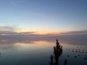 Gecko Sportfishing, Ocracoke Views