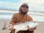 Tradewinds Tackle Shop, Nice Slot Red Drum