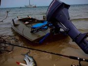Tradewinds Tackle Shop, Bluefish in Ocracoke