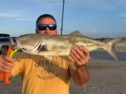 Tradewinds Tackle Shop, Blues and Drum in Ocracoke