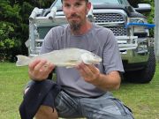 Tradewinds Tackle Shop, Citation Whiting