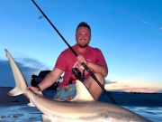 Tradewinds Tackle Shop, Beautiful Shark off Ramp 73