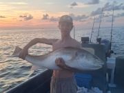 Tradewinds Tackle Shop, Local's Catch!