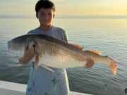 Tradewinds Tackle Shop, Beautiful Red Drum