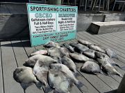 Gecko Sportfishing, Half day wreck trip