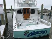 Gecko Sportfishing, Wrapping up!