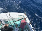 Gecko Sportfishing, Good Fishing