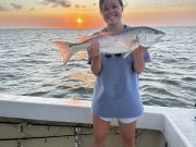 Gecko Sportfishing, A Little Inshore, a Little Offshore