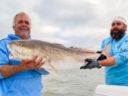 Tradewinds Tackle Shop, Citation Drum!