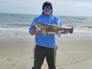 Tradewinds Tackle Shop, Puppy Drum in Ocracoke