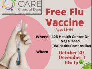 Community Care Clinic of Dare, Free Community Flu Clinic