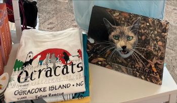 Mermaid’s Folly, 2026 Ocracat Calendar