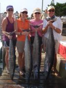 Gecko Sportfishing photo