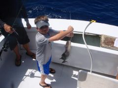 Gecko Sportfishing photo