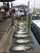 Cap&#039;N B Fishing Charters photo