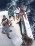 Cap&#039;N B Fishing Charters photo