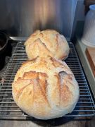 Fig Tree Bakery &amp; Deli and Sweettooth photo