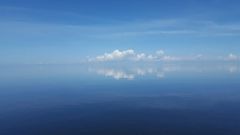 Restless Native Boat Rentals photo
