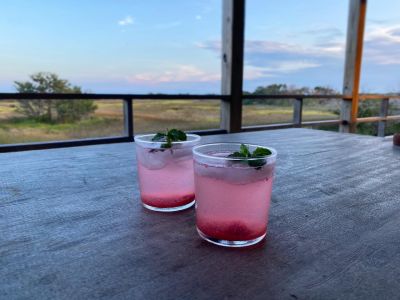 Back Porch Restaurant photo