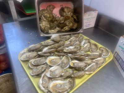 Ocracoke Oyster Company photo