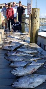 Cap&#039;N B Fishing Charters photo