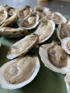 Ocracoke Oyster Company photo