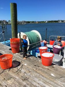 Ocracoke Seafood Company photo