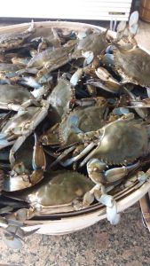 Native Seafood photo