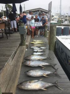 Cap&#039;N B Fishing Charters photo