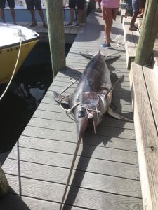 Cap&#039;N B Fishing Charters photo