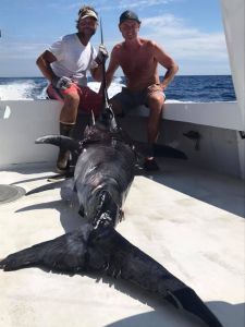 Cap&#039;N B Fishing Charters photo