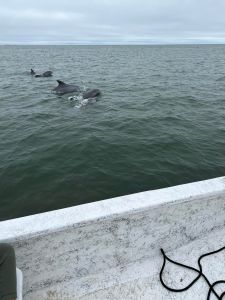 Portsmouth Island Boat Tours photo