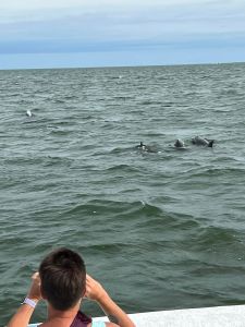 Portsmouth Island Boat Tours photo