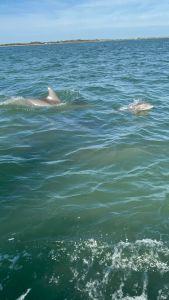 Portsmouth Island Boat Tours photo