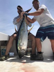 Cap&#039;N B Fishing Charters photo