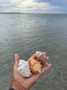 Portsmouth Island Boat Tours photo