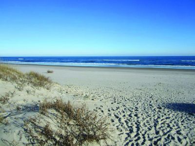 Visit Ocracoke photo