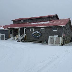 Tradewinds Tackle Shop photo