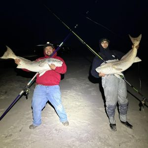 Tradewinds Tackle Shop photo