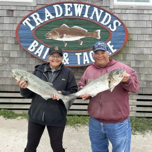 Tradewinds Tackle Shop photo