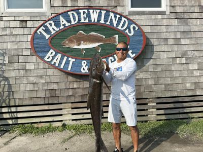 Tradewinds Tackle Shop photo