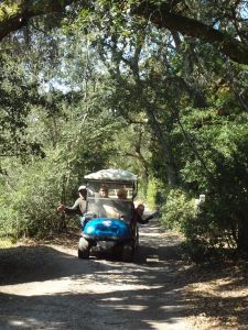 Wheelie Fun Cart Rentals photo