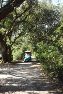 Wheelie Fun Cart Rentals photo